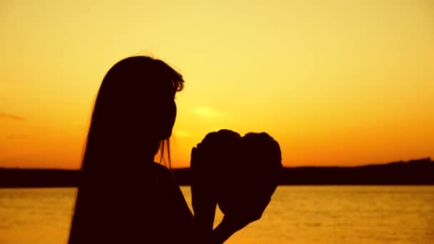 Silhuetten av flicka håller hjärtat i solnedgången över floden — Stockvideo