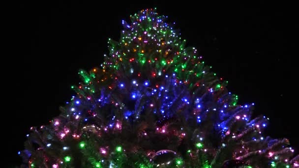Hermoso árbol de Navidad en el parque de la ciudad, decorado con guirnaldas y globos de colores en el cielo nocturno. poca nieve cae — Vídeo de stock