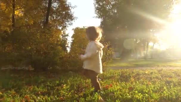Pequena criança caminha na grama verde em belos raios de sol. mãe caminha com um bebê feliz no parque de outono ao pôr do sol . — Vídeo de Stock