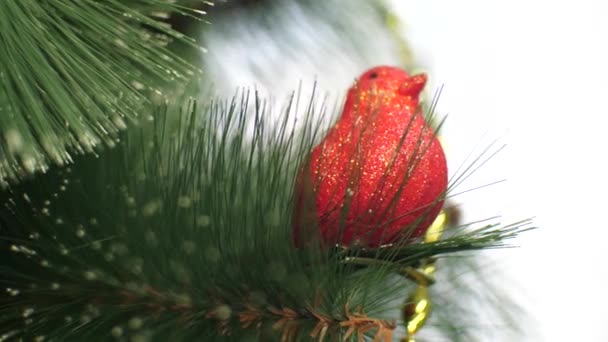 クリスマス ツリー クリスマス グッズの赤い鳥の枝。クローズ アップ。子供のおもちゃで飾られた子供部屋に小さなクリスマス ツリーの緑. — ストック動画