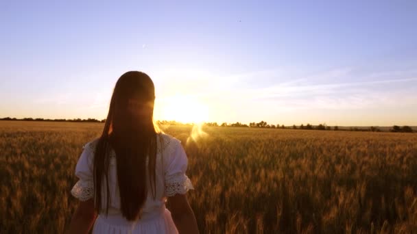 Menina feliz caminha através do campo com trigo amarelo e toca as orelhas de trigo com as mãos ao pôr do sol. Movimento lento — Vídeo de Stock
