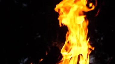 Geceleri yasaktır yangında yanan ağaçların dalları. Ağır çekim