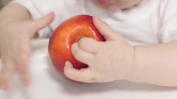 Ребенок кусает яблоко с первыми молочными зубами . — стоковое видео