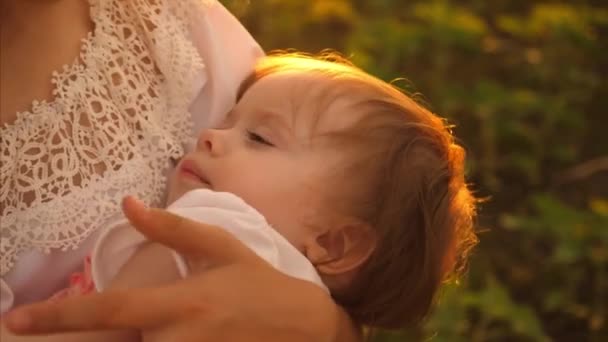 O miúdo adormece nos braços da mãe com raios dourados de sol. Movimento lento — Vídeo de Stock