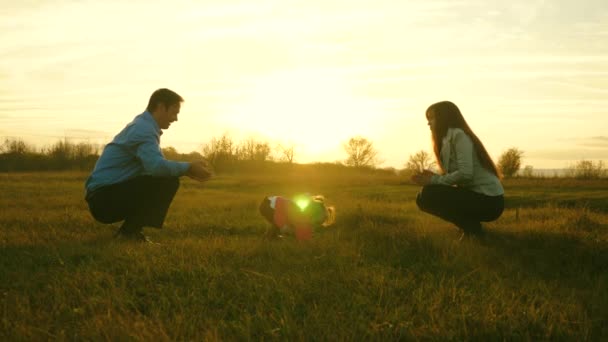 Child goes and falls on grass from father to mom. dad hugs baby and kisses daughter. baby makes its first steps. The concept of family happiness, beautiful sun, sunset. — Stock Video