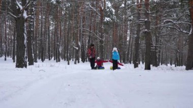 Kış ormandaki çocuklu mutlu baba ve anne çekme yıkılıyor. kışın karlı bir parkta çocuklu veliler oynayan. mutlu aile Noel tatili sırasında halletme.