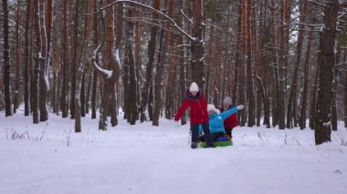 komik çocuk anneleri kızak ve çam ormanı içinde bir şişme kar tüp binmek. mutlu aile anne ve kış park ve orman içinde Noel tatili için oynayan çocuklar.