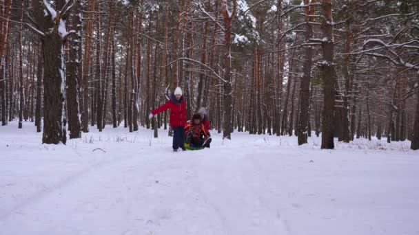 Les enfants heureux montent papa sur traîneau et un tube à neige gonflable dans la forêt de pins. famille heureuse joue dans le parc d'hiver et la forêt pour les vacances de Noël. Mouvement lent . — Video