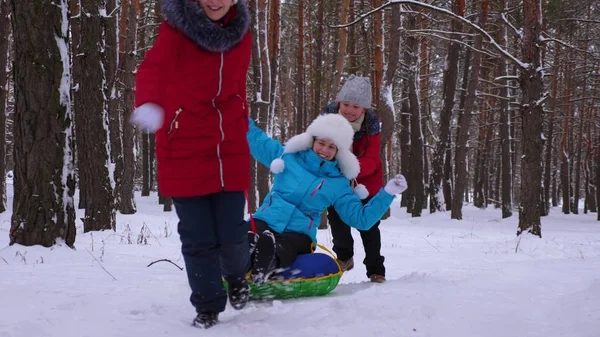 Vtipné děti jezdit jejich máma na saně a nafukovacích gumových kruhů v borovém lese. šťastná rodina Maminka a děti hrají v zimě parku a lesa pro vánoční svátky. — Stock fotografie