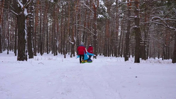 Glückliche Kinder fahren mit ihrer Mutter auf Schlitten und einem aufblasbaren Schneeschlauch im Kiefernwald. glückliche Familie Mutter und Kinder spielen im Winter Park und Wald für die Weihnachtsfeiertage. Zeitlupe. — Stockfoto