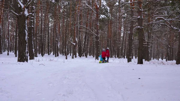 Bambini felici cavalcano la loro mamma sulla slitta e un tubo di neve gonfiabile nella pineta. felice famiglia mamma e bambini che giocano nel parco invernale e nella foresta per le vacanze di Natale. Rallentatore . — Foto Stock