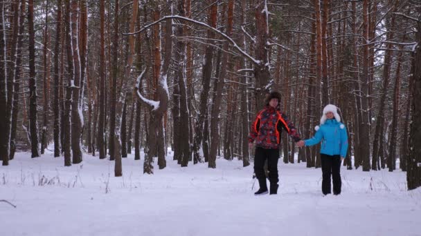 Amor Hombre Mujer Caminan Por Parque Pinos Nevados Invierno Ríen — Vídeo de stock