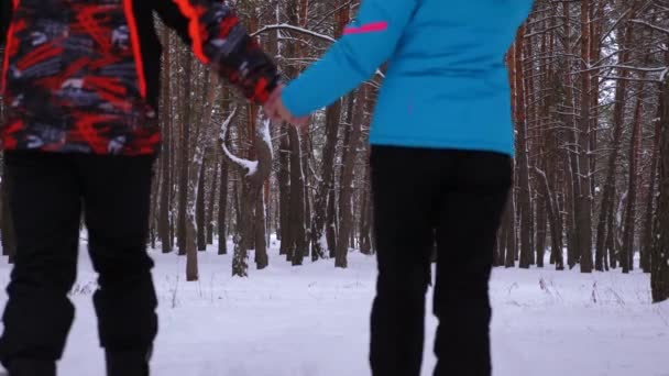 Zamilovaný muž a žena se projít zimní zasněžené borovice park a smích. Vztahy dospělých — Stock video