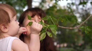Anne ve çocuk yeşil yaprakları ağaçların sıcak yeşil park içinde arıyoruz.
