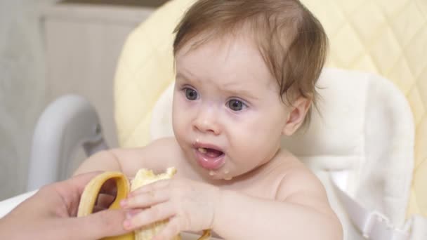 Mamma matar litet barn med banan. Baby har frukost i stolen childrens. vacker liten unge äta banan från händerna på hans mor. — Stockvideo