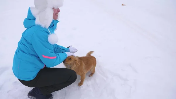 Mädchen streichelt Hund und Welpe an frostigen Wintertagen. Hunde spielen mit ihrem Herrchen auf verschneiter Straße. Winter. Haustiere — Stockfoto