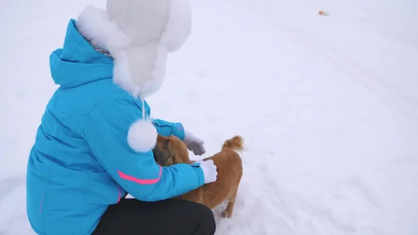 Mädchen streichelt Hund und Welpe an frostigen Wintertagen. Hunde spielen mit ihrem Herrchen auf verschneiter Straße. Winter. Haustiere — Stockfoto