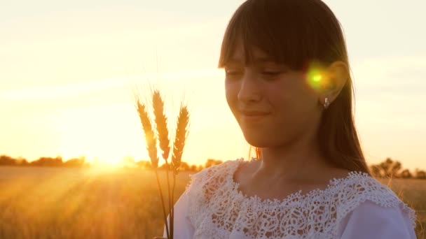 Piękna dziewczyna trzyma w jej ręce łodygi pszenicy i uśmiecha się świecić przez promienie i patrzy zachodzącego słońca. — Wideo stockowe