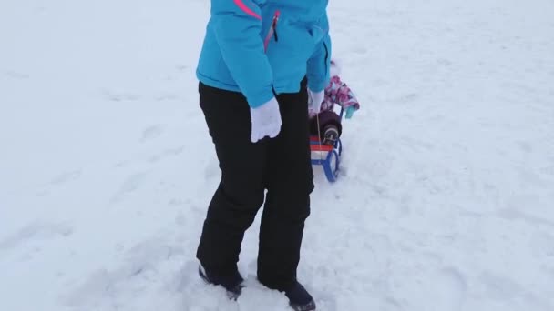 Молодая мама катает маленького ребенка на санях по снежной дороге зимой. Ребенок непослушный и плачет, сидя в санях — стоковое видео