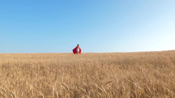 Criança de capa vermelha e correndo através do campo em direção ao céu azul. jovem menina joga super herói . — Vídeo de Stock