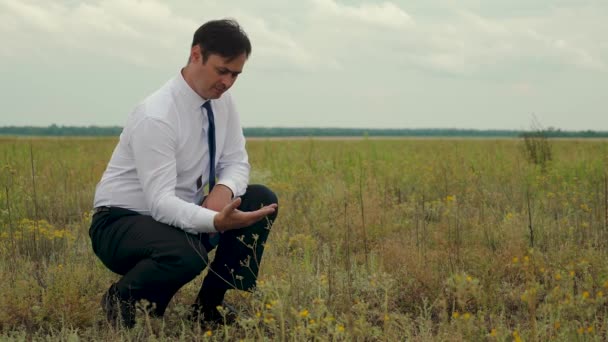 Uomo d'affari in camicia bianca e cravatta blu lavora sul campo. agronomo studia il campo — Video Stock