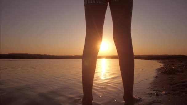 Tonårig flicka på bakgrund av inställningen solen. — Stockvideo
