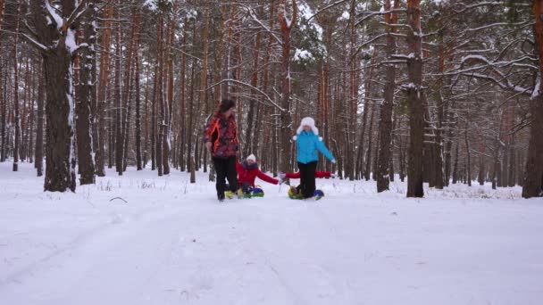 Lyckliga föräldrar rida barn på snöiga plattan längs vit snöig väg i vinter tallskog. Dotter mamma och pappa sledding genom barrskog park. Jul — Stockvideo