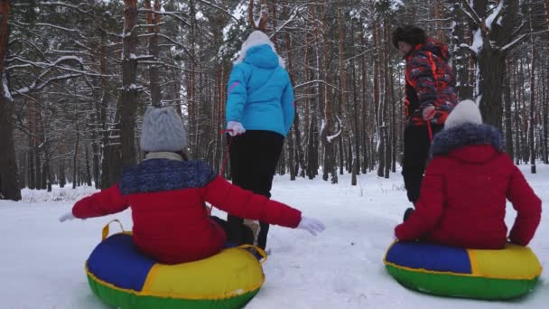 Los padres felices montan a los niños en un plato nevado a lo largo de un camino nevado blanco en un bosque de pinos de invierno. Hija mamá y papá paseando en trineo por el parque de coníferas. Navidad — Vídeos de Stock