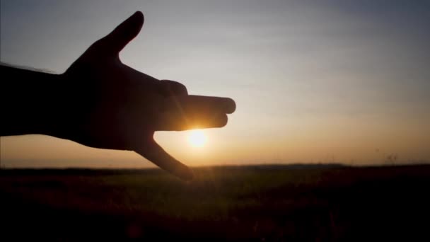 Hand gemaakt silhouet van hond bij zonsondergang. — Stockvideo