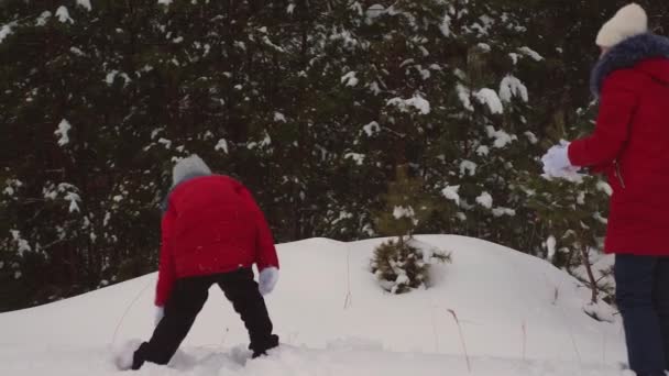 Щасливі Діти Грають Сніжки Сосновому Лісі Сміються Веселі Дівчата Грають — стокове відео