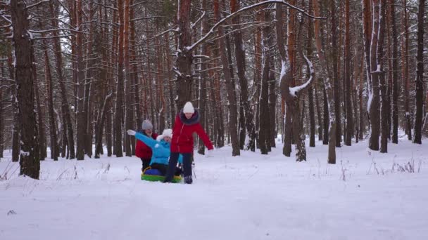 Щасливі діти-підлітки катаються на сніговій тарілці в сосновому парку взимку і сміються. Дівчата ковзають в хвойних лісах. Розваги для підлітків у природі. Різдвяні свята — стокове відео