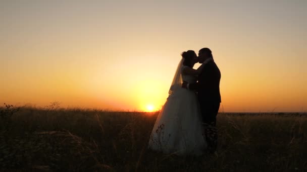 Líbání pár v lásce. zamilovaný novomanželé obejmout a stojí v poli pozadí krásný západ slunce. šťastná nevěsta a ženich obejmout a políbit v jasném slunci. koncept šťastný svatba. — Stock video