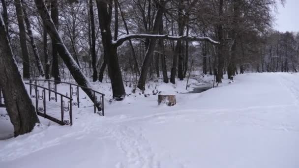 Landskapspark vit snö på vintern i sanatorium med vackra bron vid damm — Stockvideo