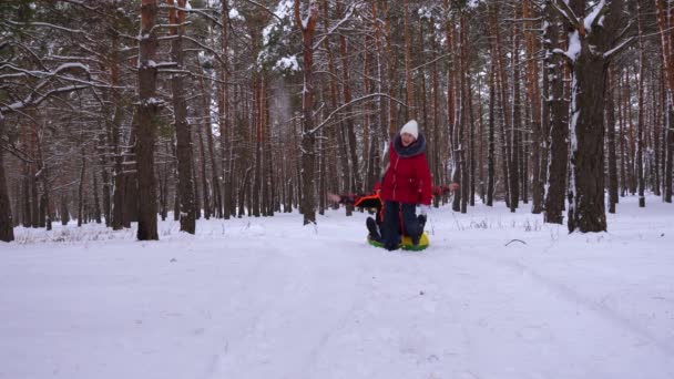 Bambini Slitta Papà Sulla Strada Innevata Nel Parco Pini Ridere — Video Stock