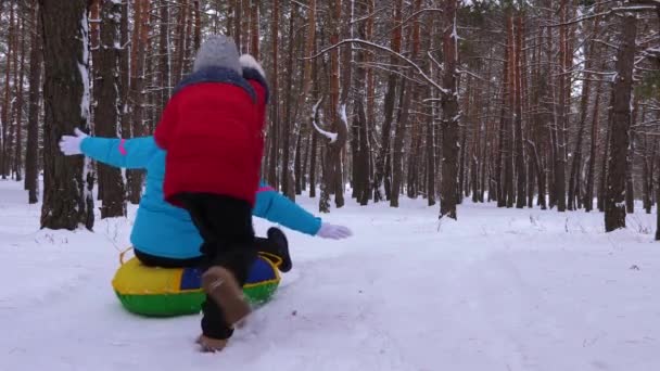 Gyermek anya szán a havas úton, pine park és a nevetés. Boldog család játék téli tűlevelű erdő. Karácsonyi ünnepek — Stock videók