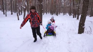 Baba bebek ve anne üzerinde çalışan karlı kış orman ve kahkaha kar daire alır. Erkek ve kadın, kızları ile birlikte kış parkta kızağa eğlendim. Noel hafta sonu. Doğada aile oyunları
