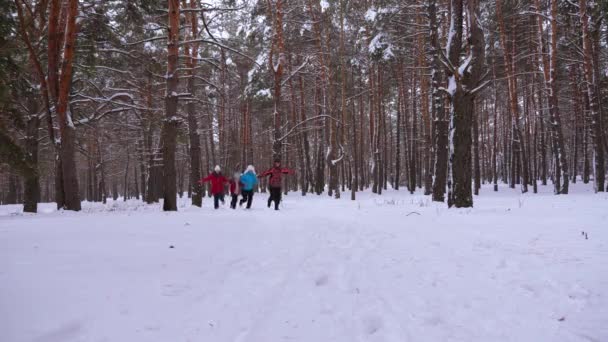 Gelukkige kinderen met vader en moeder spelen in pine park in de winter. Ouders met kind loopt door sneeuw in naaldhout bos. Entertainment tieners op aard. Kerstvakantie — Stockvideo