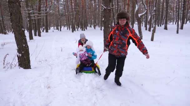 Baba Anne küçük bebek ile kızak çam parkı ve gülüyor alır. Aile Noel tatili sırasında iğne yapraklı orman rahatlatıcıdır. Çocuklar ve ebeveynleri — Stok video