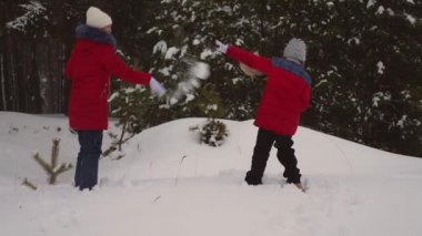 Çocuk snowdrifts ve gülmek çam kış kar parktan kartopu oynamak. Kızlar, kışın karda oynamak. Noel tatili. Doğada Genç oyunları