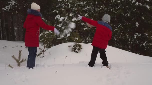 Los niños juegan bolas de nieve en el parque de nieve de invierno de pino a través de ventisqueros y risas. Las niñas juegan en la nieve en invierno. Vacaciones de Navidad. Juegos de adolescentes en la naturaleza — Vídeos de Stock