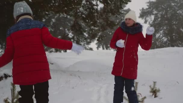 Les enfants jouent aux boules de neige dans le parc à neige hivernal de pin à travers les flots de neige et rient. Les filles jouent dans la neige en hiver. Vacances de Noël. Jeux d'adolescence dans la nature — Video