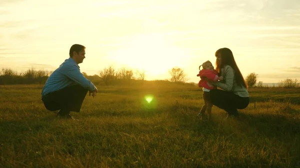 El bebé va al césped de papá a mamá. niño da los primeros pasos en el parque. mamá y papá juegan con el niño en la hierba al atardecer. concepto de felicidad familiar —  Fotos de Stock