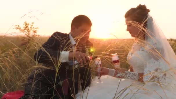 La novia y el novio se vierten en copas de champán sentados en espiguillas de hierba al atardecer. Noche romántica de amantes en el campo. Luna de miel. Hombre y mujer se relajan juntos en la naturaleza — Vídeos de Stock