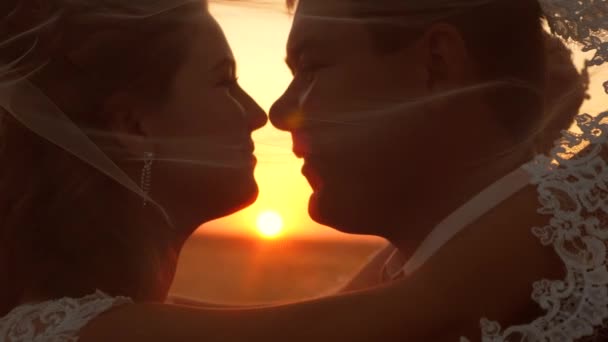 Bride Groom Rub Noses Hug Sunset Gentle Looks Evenings Lovers — Stock Video