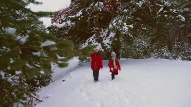 Mutlu çocuk karlı çam ormanı ve kahkaha ile çalıştırın. Oynayan gençler iğne yapraklı Park'ta görüşürüz. Noel