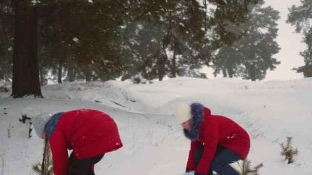 I bambini felici giocano palle di neve in montagna bianca nevosa in parco di pino. Le ragazze adolescenti giocano con la neve nella foresta invernale e sorridono — Video Stock