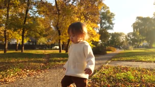 le petit enfant court dans le parc d'automne sur la pelouse et l'herbe sèche. Joyeux petit bébé marchant le soir dans la rue .