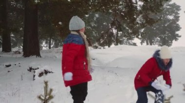 Mutlu genç kız karlı kış ve gülmek zevk ile kartopu oynamak. Çam parkı çocukların temiz havada yürüyüş. Noel tatili