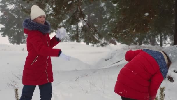 Ευτυχισμένος Teen κορίτσια παίζουν χιονόμπαλες σε χιονισμένο χειμώνα και γελούν με ευχαρίστηση. Περπατώντας στον φρέσκο αέρα των παιδιών στο πάρκο πεύκου. Χριστουγεννιάτικες διακοπές — Αρχείο Βίντεο