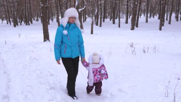 Niania prowadzi dłoń dziewczynki na zaśnieżonej drodze podczas spaceru na świeżym powietrzu w parku w zimie. Mama i córka zrobić pierwsze kroki w zimowym lesie — Wideo stockowe